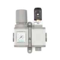 REGULATOR (0 - 8 BAR) & 12VDC SHUT OFF VALVE