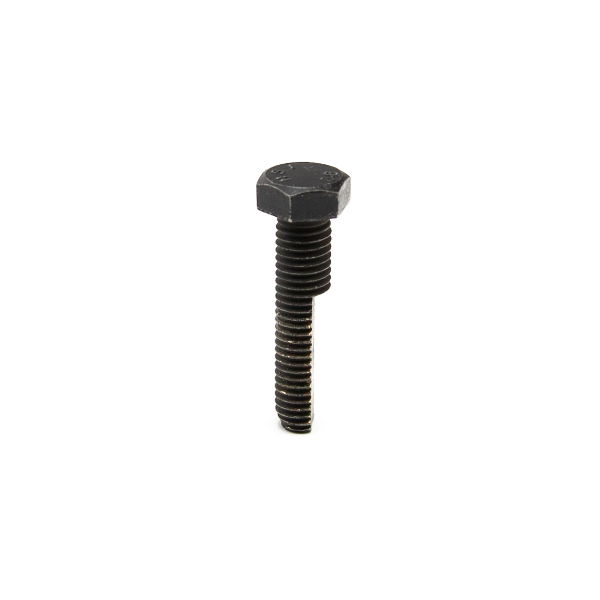 SCREEN MOUNTING BOLT